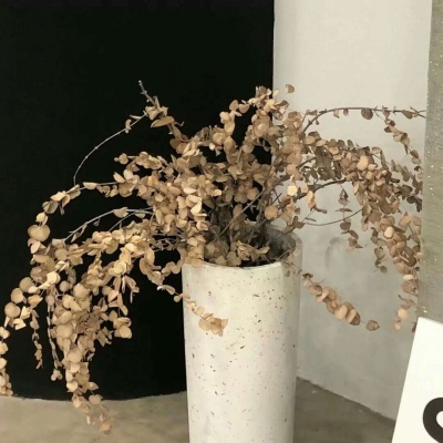 兽设角色性格塑造兽圈社群